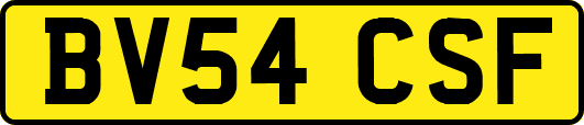 BV54CSF