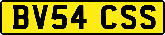 BV54CSS
