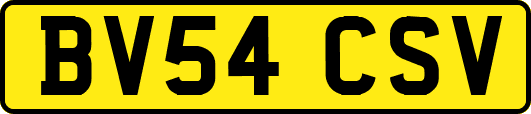 BV54CSV