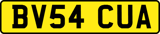 BV54CUA