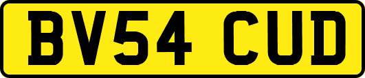 BV54CUD