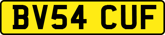 BV54CUF