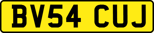 BV54CUJ