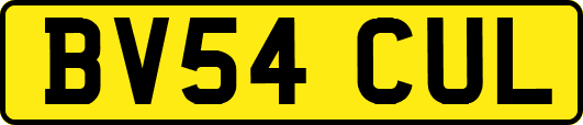 BV54CUL