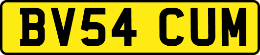 BV54CUM