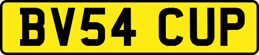 BV54CUP
