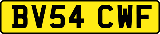 BV54CWF