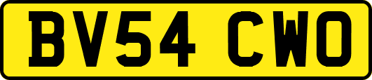 BV54CWO
