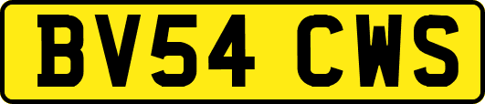 BV54CWS