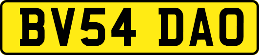 BV54DAO
