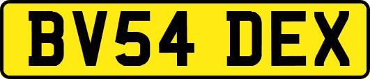BV54DEX