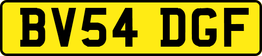 BV54DGF