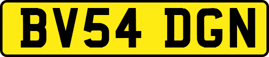BV54DGN