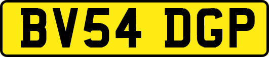 BV54DGP