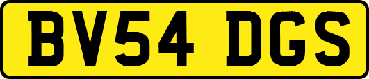 BV54DGS