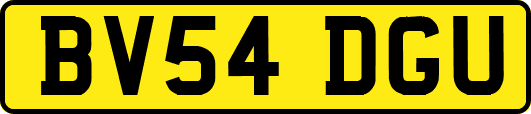 BV54DGU