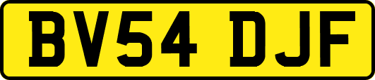 BV54DJF