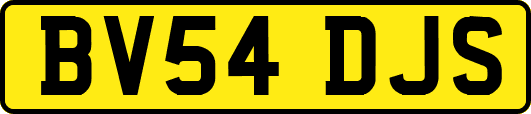 BV54DJS
