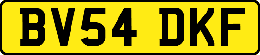 BV54DKF