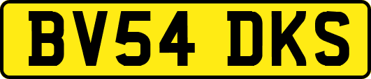 BV54DKS