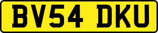 BV54DKU