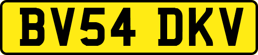 BV54DKV