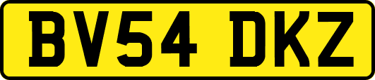 BV54DKZ