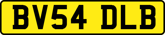 BV54DLB