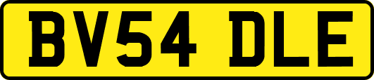 BV54DLE