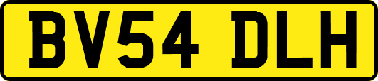 BV54DLH