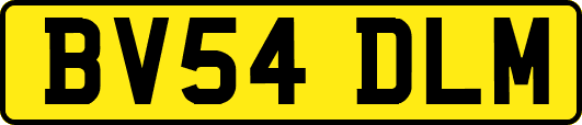 BV54DLM