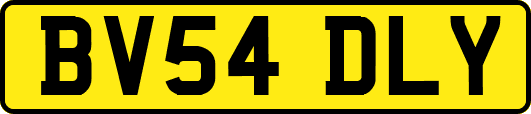BV54DLY