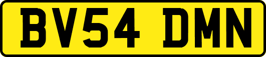 BV54DMN