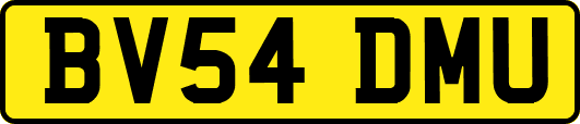 BV54DMU