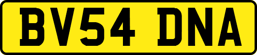 BV54DNA