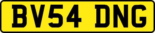 BV54DNG