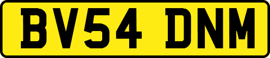 BV54DNM