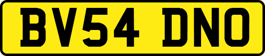 BV54DNO