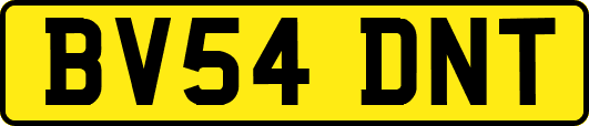 BV54DNT
