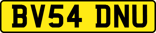 BV54DNU