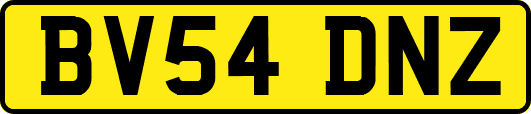 BV54DNZ