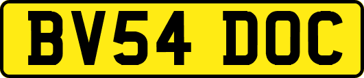 BV54DOC