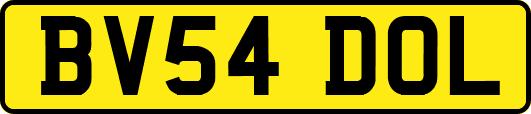 BV54DOL