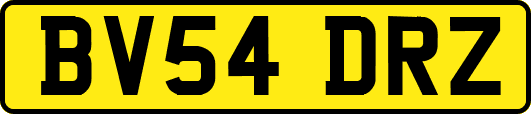 BV54DRZ