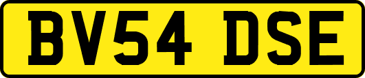 BV54DSE