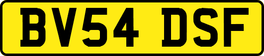 BV54DSF