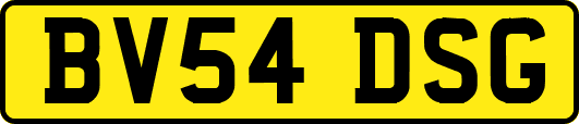 BV54DSG