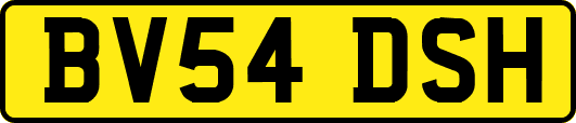 BV54DSH
