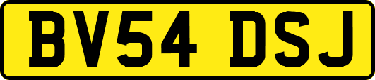 BV54DSJ