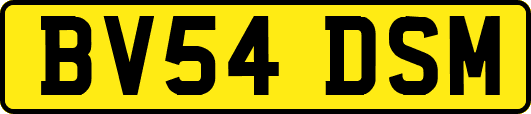 BV54DSM